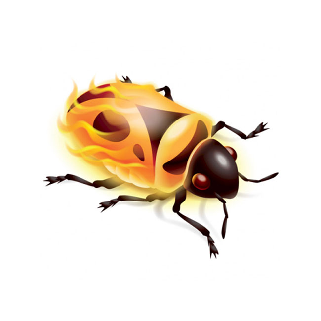 Firebug: tool for test automation